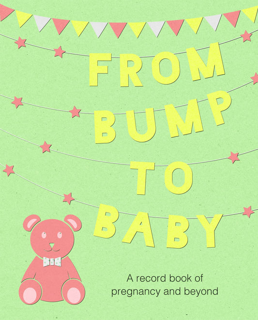 From Bump To Baby: A Record Book Of Pregnancy And Beyond