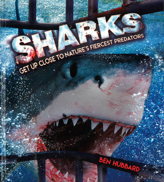 Sharks: Get Up Close To Nature?S Fiercest Predators