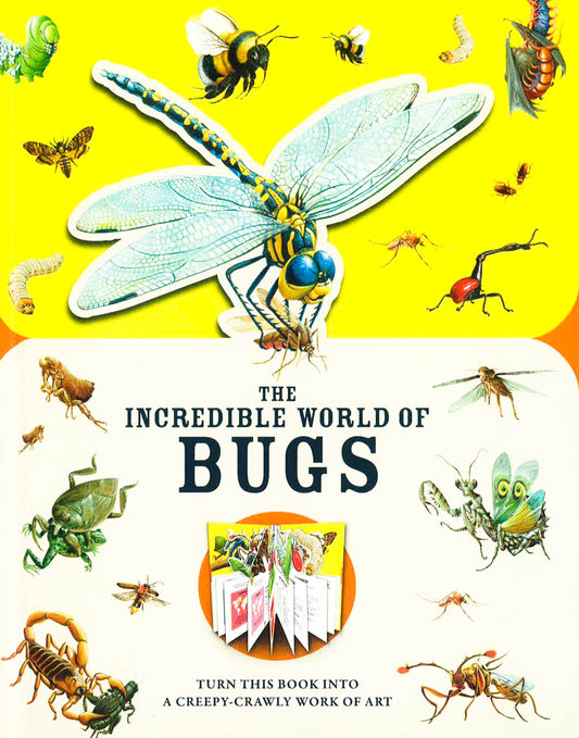 Paperscapes: The Incredible World Of Bugs