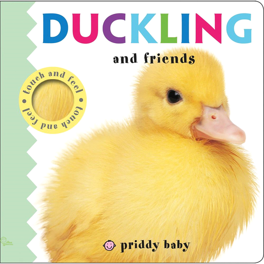 Duckling And Friends