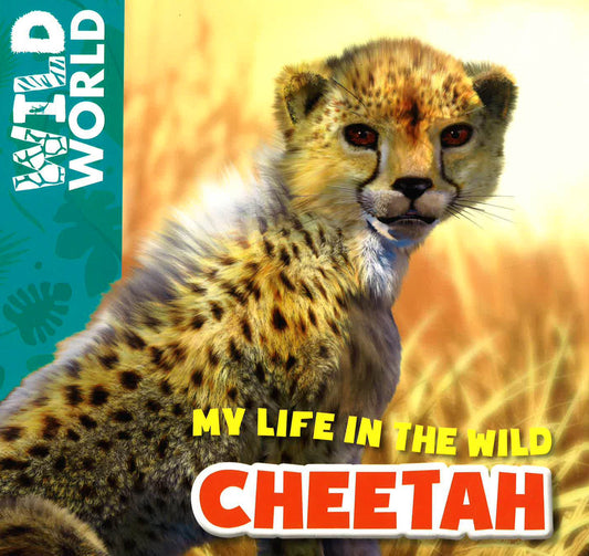 My Life In The Wild-Cheetah