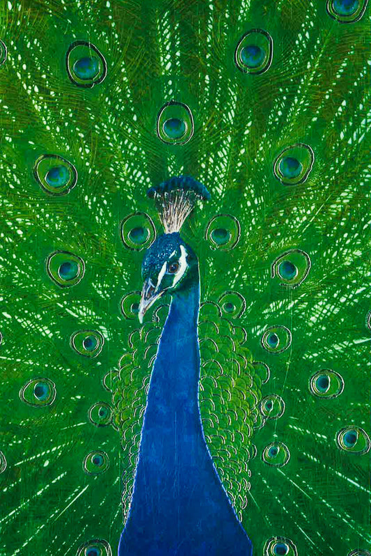 Peacock In Blue & Green (Foiled Journal)
