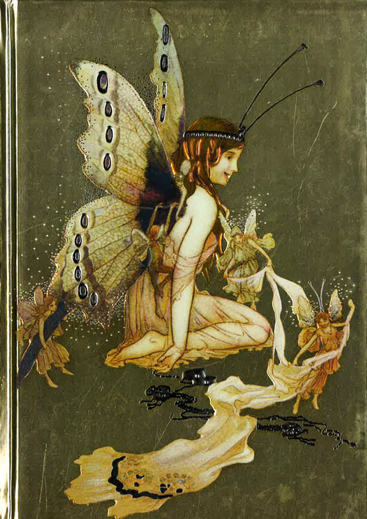 Goble: Pretty Set Of Wings (Foiled Journal)