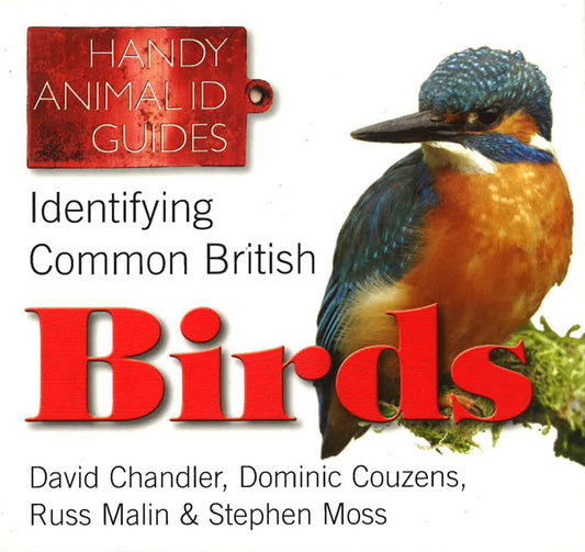 [Bargain corner] Identifying Common British Birds