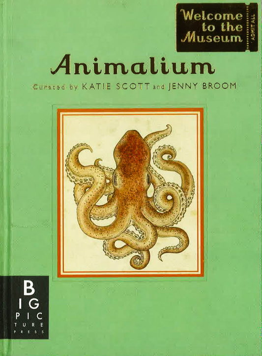 Welcome To The Museum: Animalium