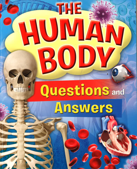 Human Body Questions And Answers
