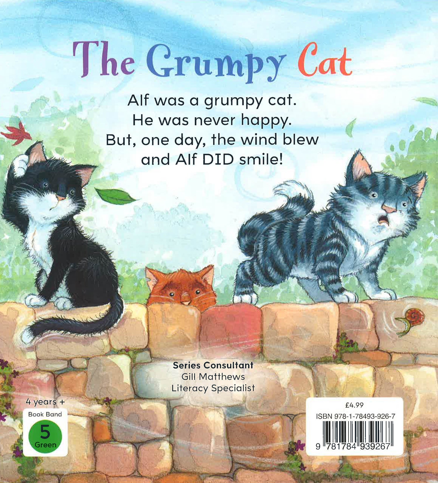 Reading Gems: The Grumpy Cat (Level 2) – BookXcess