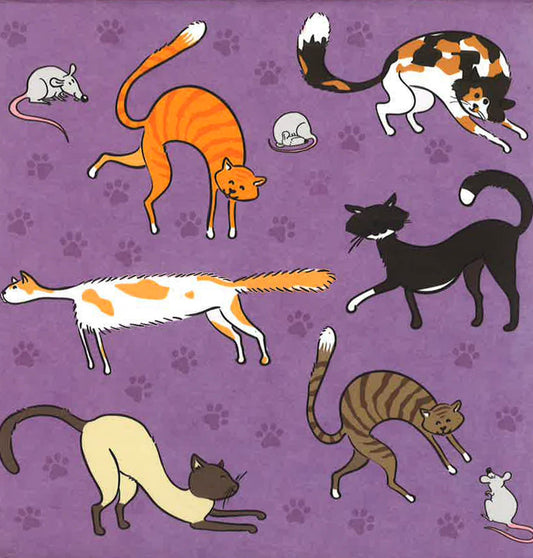 Crazy Cats 2017 Desk Calendar