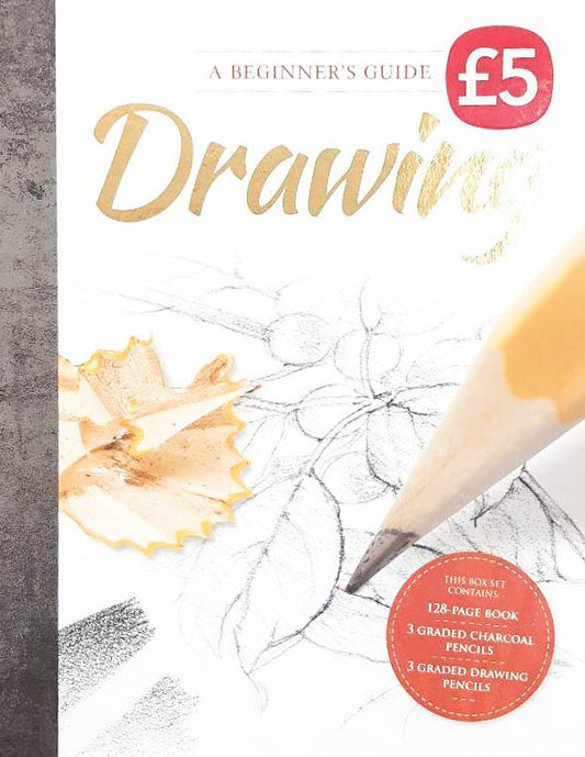 A Beginner's Guide: Drawing