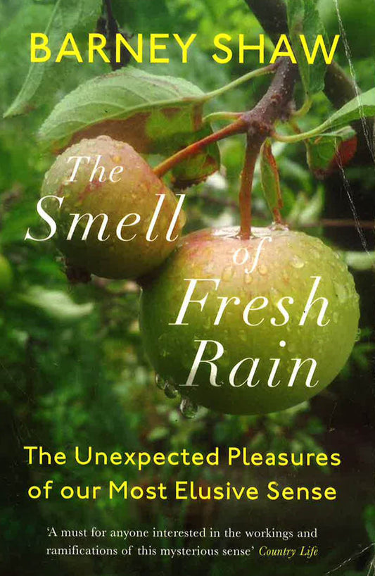 Smell Of Fresh Rain: The Unexpected Pleasures Of Our Most Elusive Sense