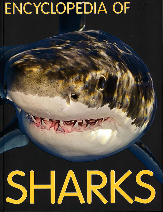 Encyclopedia Of Sharks