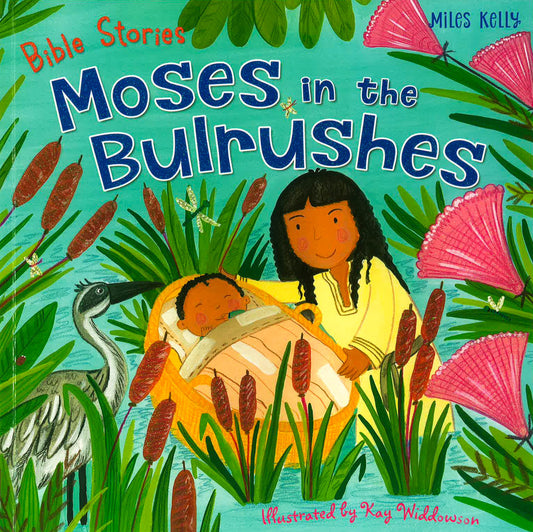 Bible Stories 5 Pack - Moses In The Bulrushes