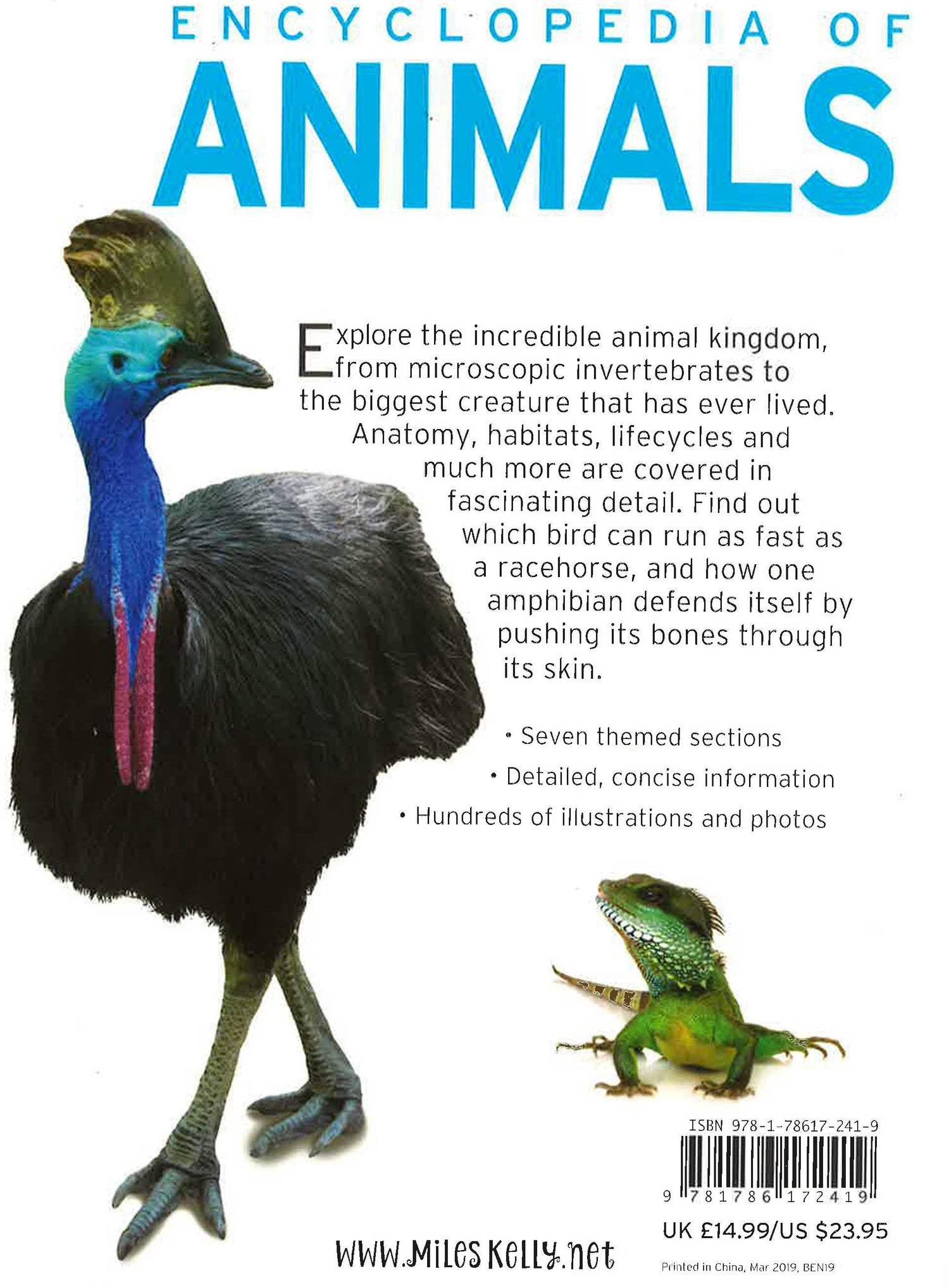 Encyclopedia Of Animals BookXcess encyclopedia-of-animals-bookxcess