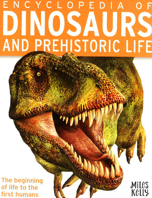 [Additional 30% Off From 27 Feb - 3 March 2024] Encyclopedia Of Dinosaurs And Prehistoric Life