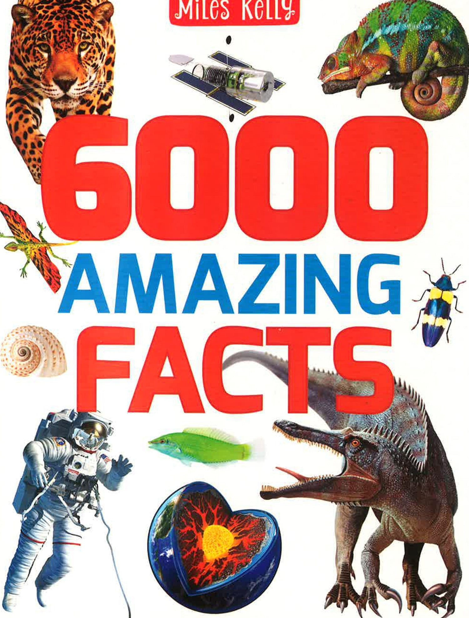 1,000 Amazing Weird Facts by DK: 9780744081442