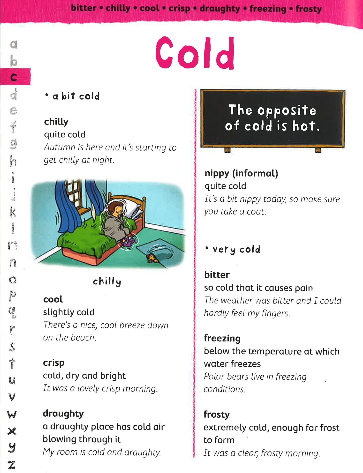 Junior Dictionary & Thesaurus – BookXcess