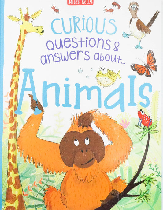 J32 Curious Q&A Animals