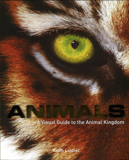 Animals : A Visual Guide To The Animal Kingdom