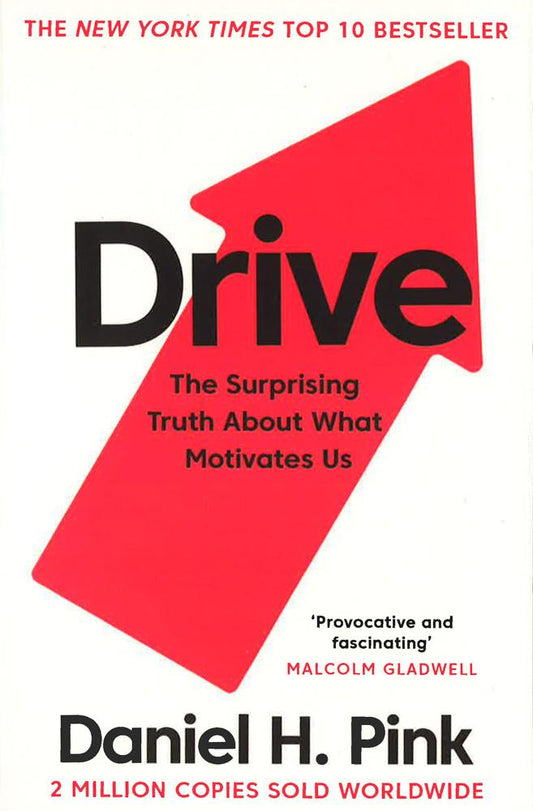 Drive : The Surprising Truth About What Motivates Us
