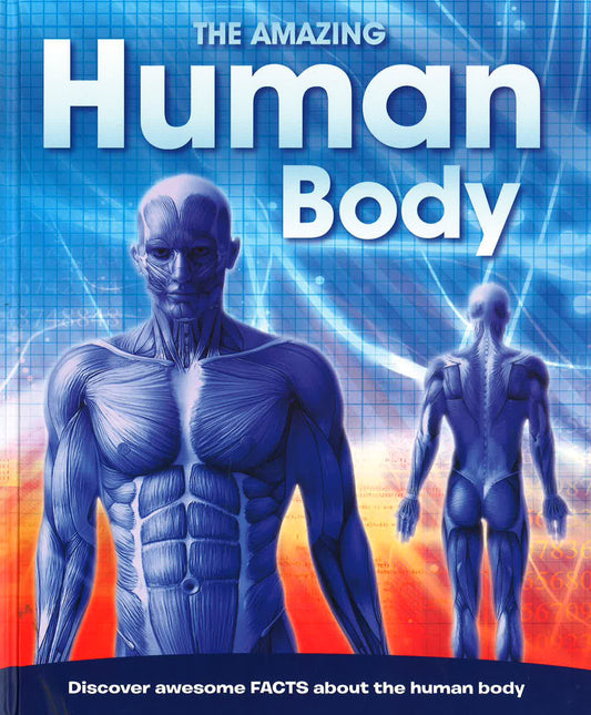 The Amazing Human Body