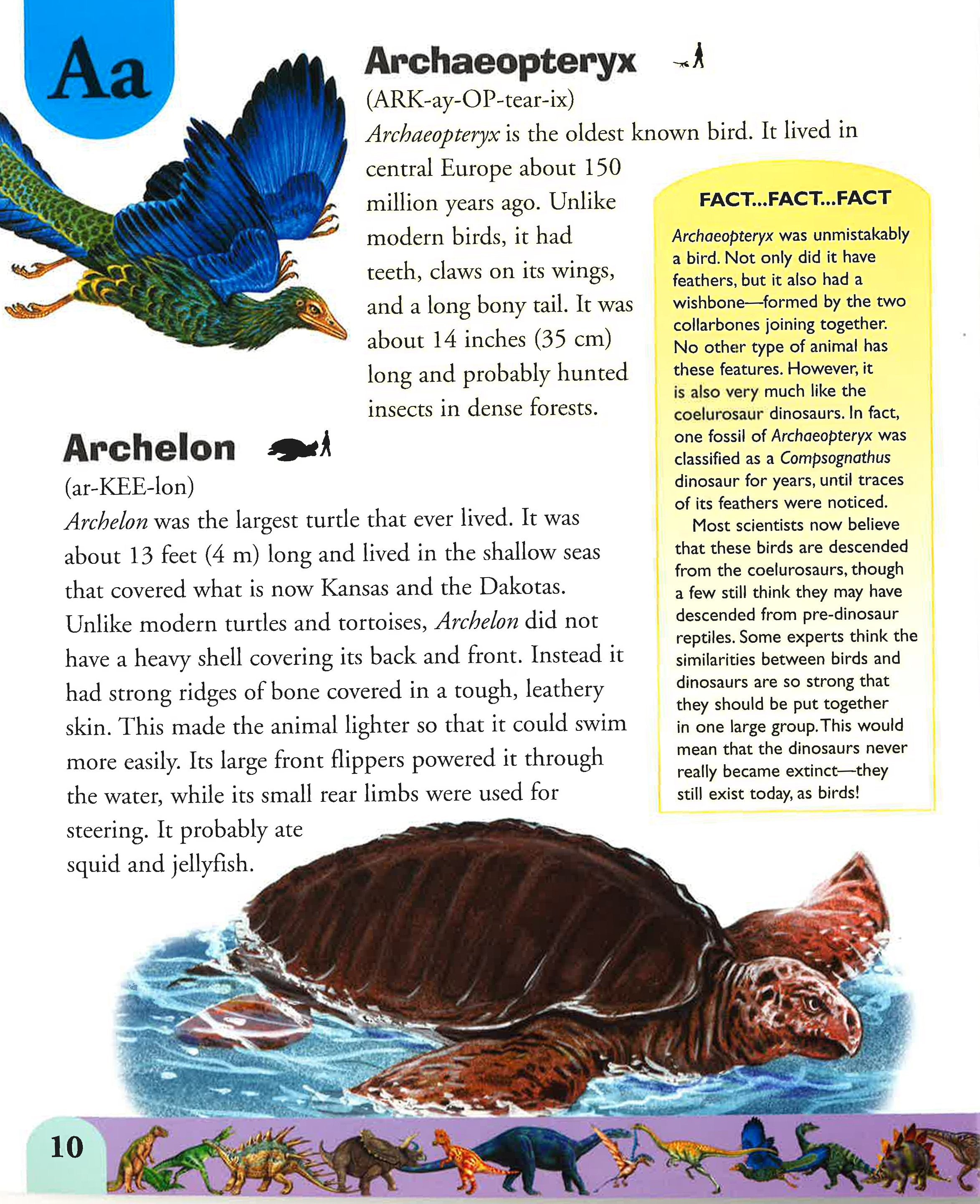 Descriptosaurus Colon Examples Dinosaur Dictionary: An A To Z Dinosours And Prehistoric Reptiles ...