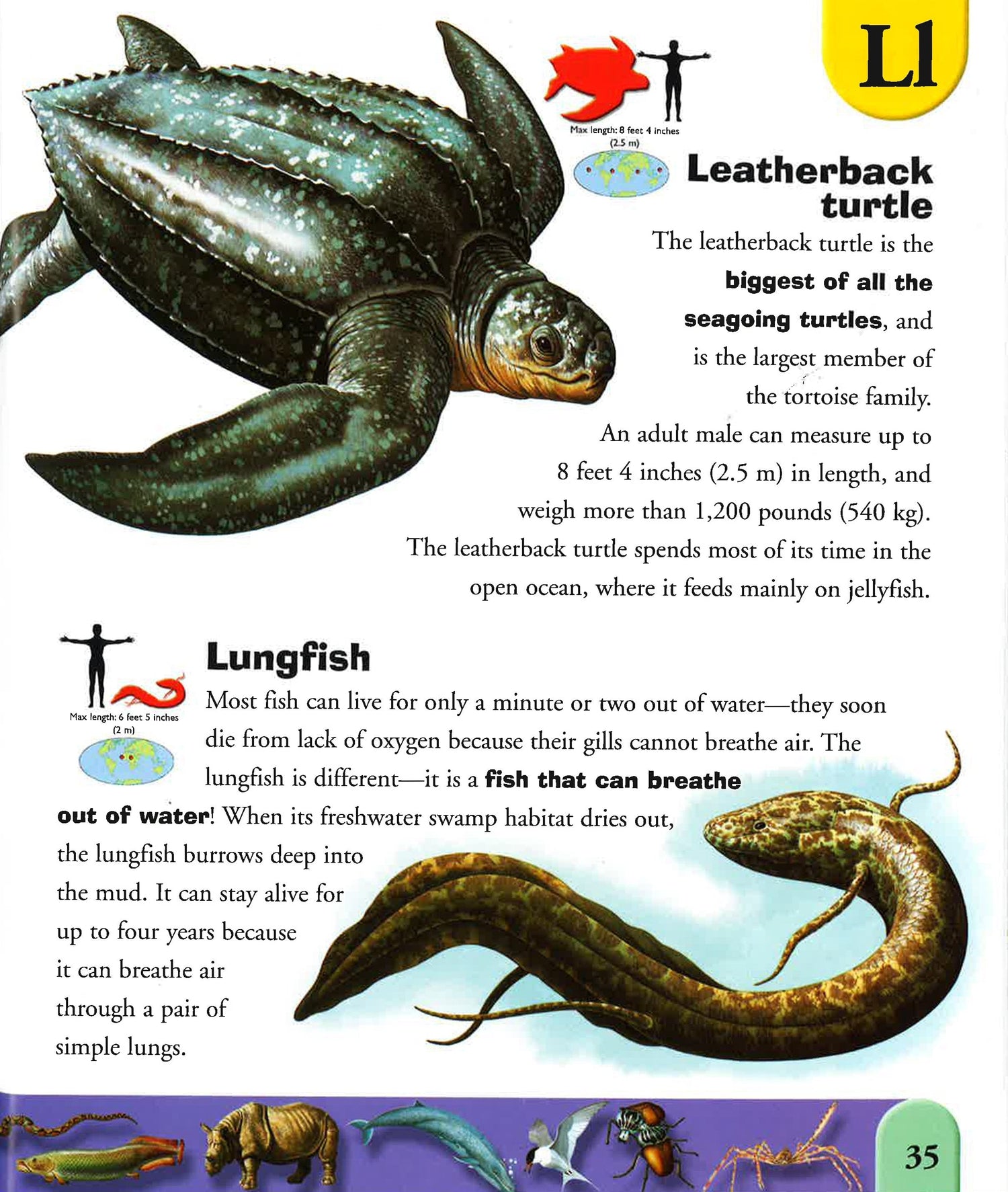 Extreme Dictionary Extreme Animals Dictionary – BookXcess