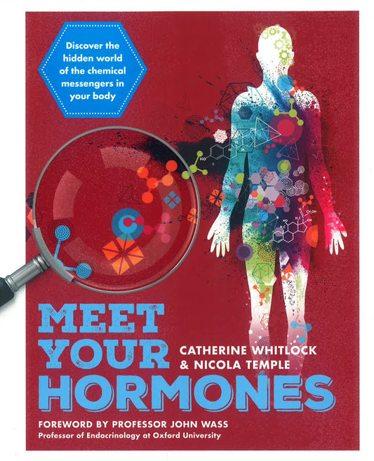 Meet Your Hormones