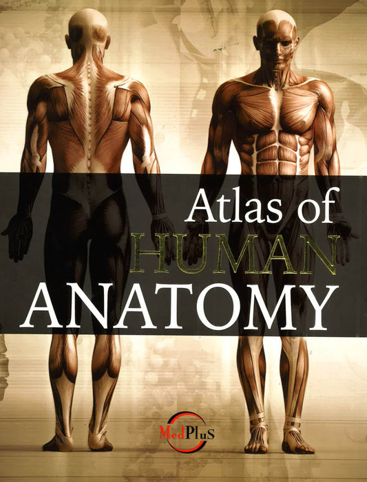 Atlas Of Human Anatomy