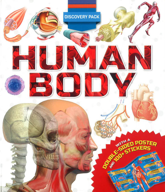 Discovery Pack: Human Body