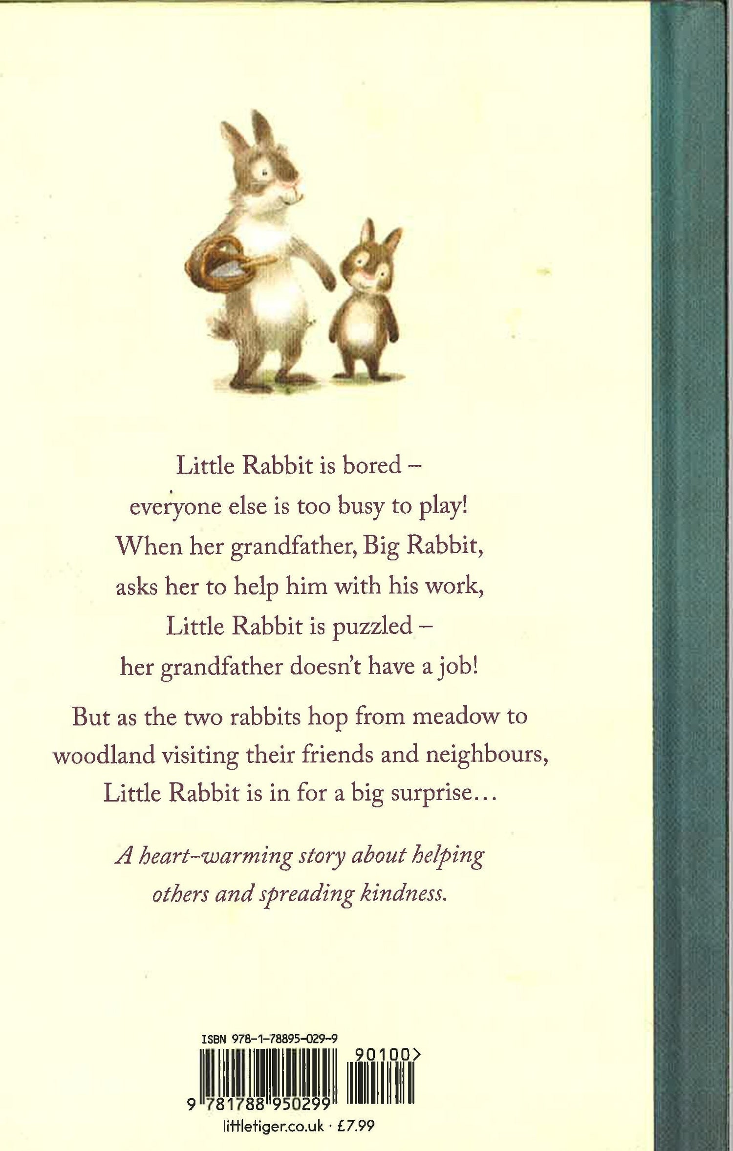 Little Rabbit's Big Surprise – BookXcess