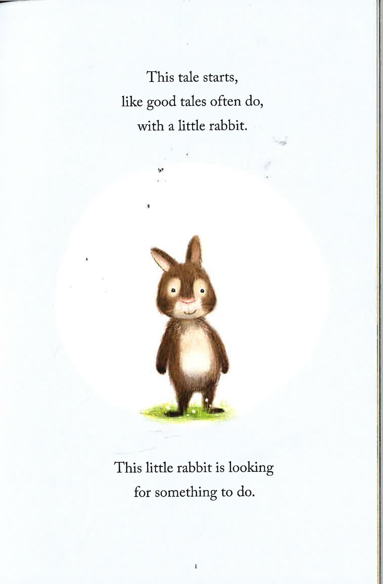 Little Rabbit's Big Surprise – BookXcess