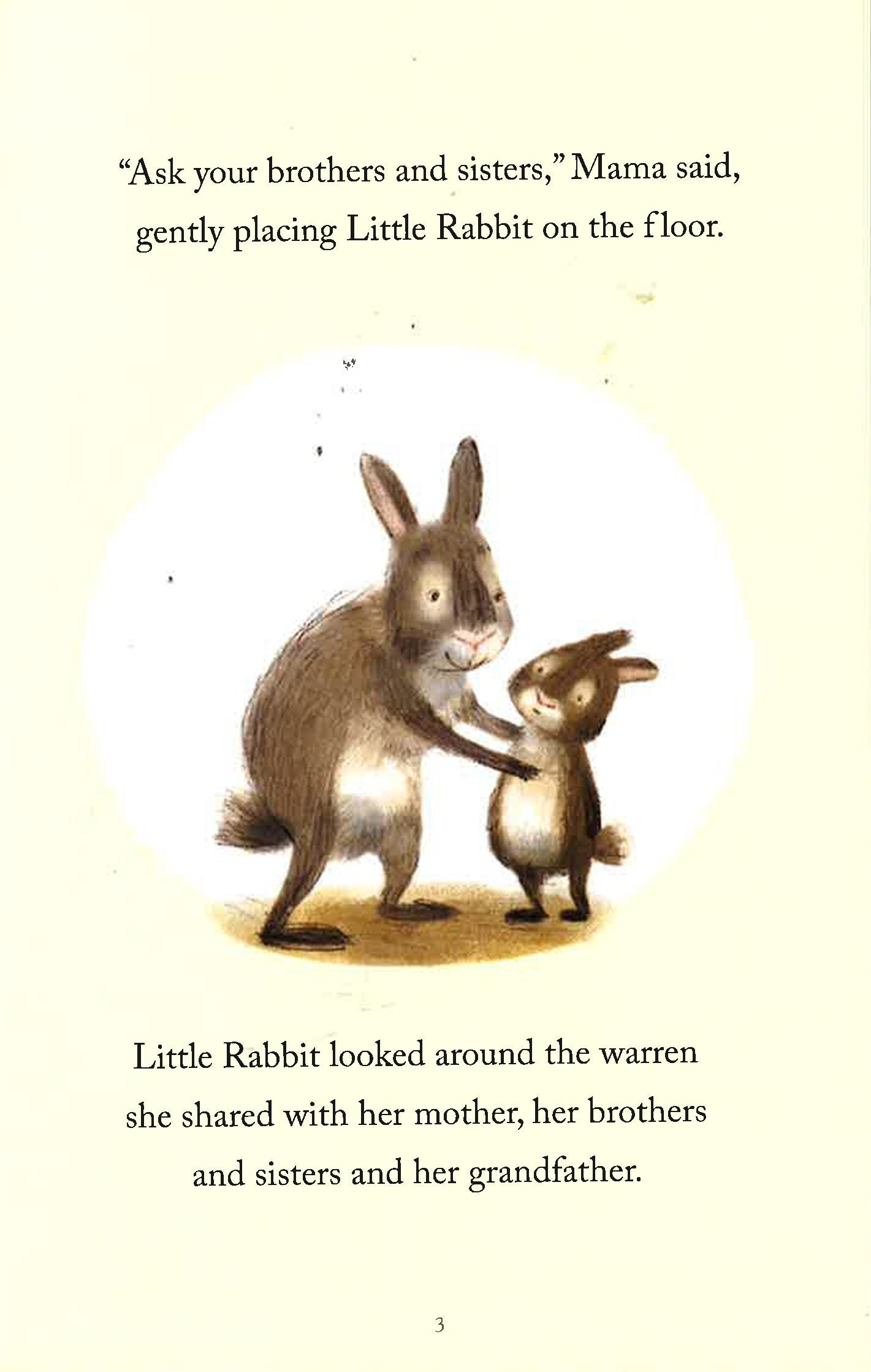 Little Rabbit Roo Roo Book Little Rabbit's Big Surprise – BookXcess