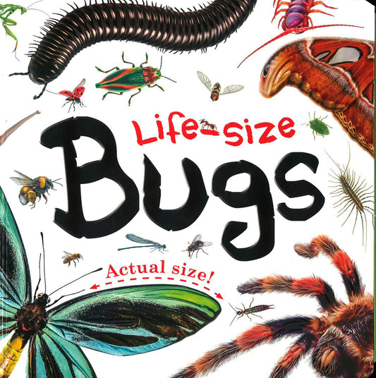 Life-Size Boards: Life-Size: Bugs (Rrp Specific Edition)