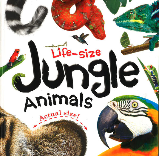 Life-Size: Jungle Animals