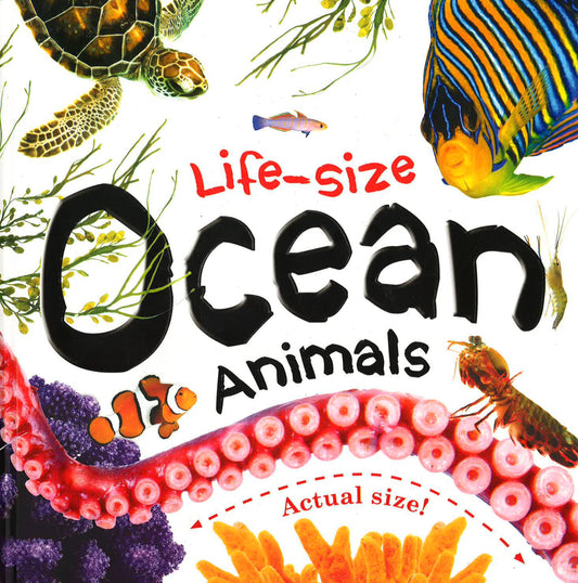 Life-Size: Ocean Animals