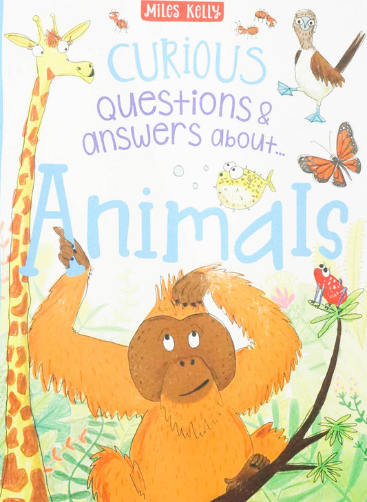 D32 Curious Q&A 8 Pack