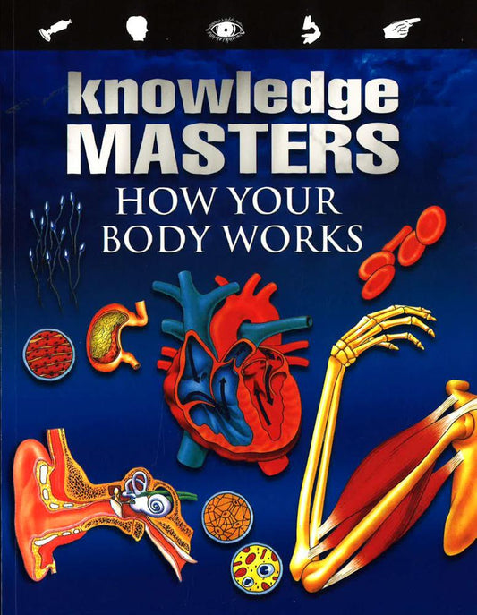 Knowledge Masters How Your Body Works