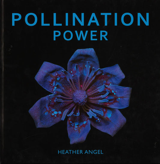 Pollination Power