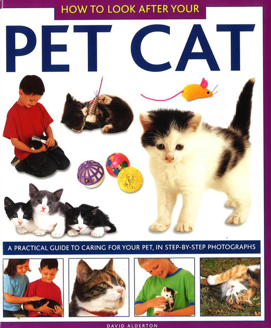 How To Look After Your Pet Cat