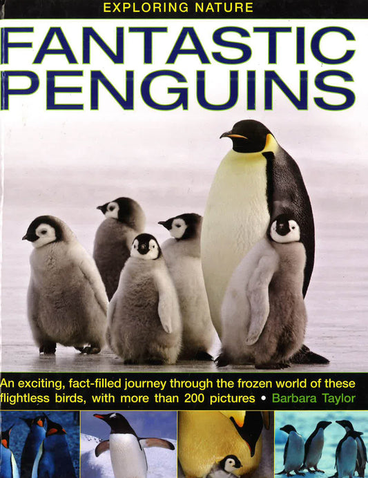 Exploring Nature: Fantastic Penguins