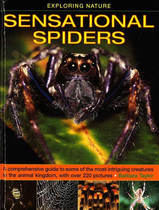 Exploring Nature: Sensational Spiders