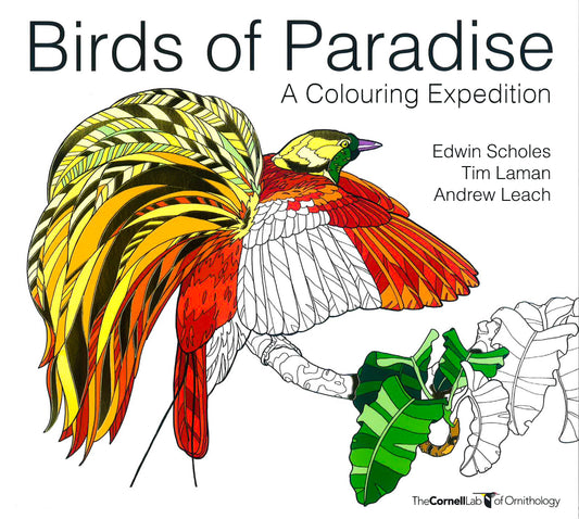 Birds Of Paradise: A Colouring Expedition