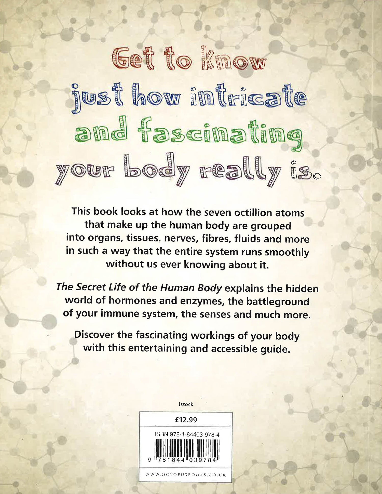 Secret Human Body Secret Life Of The Human Body – BookXcess