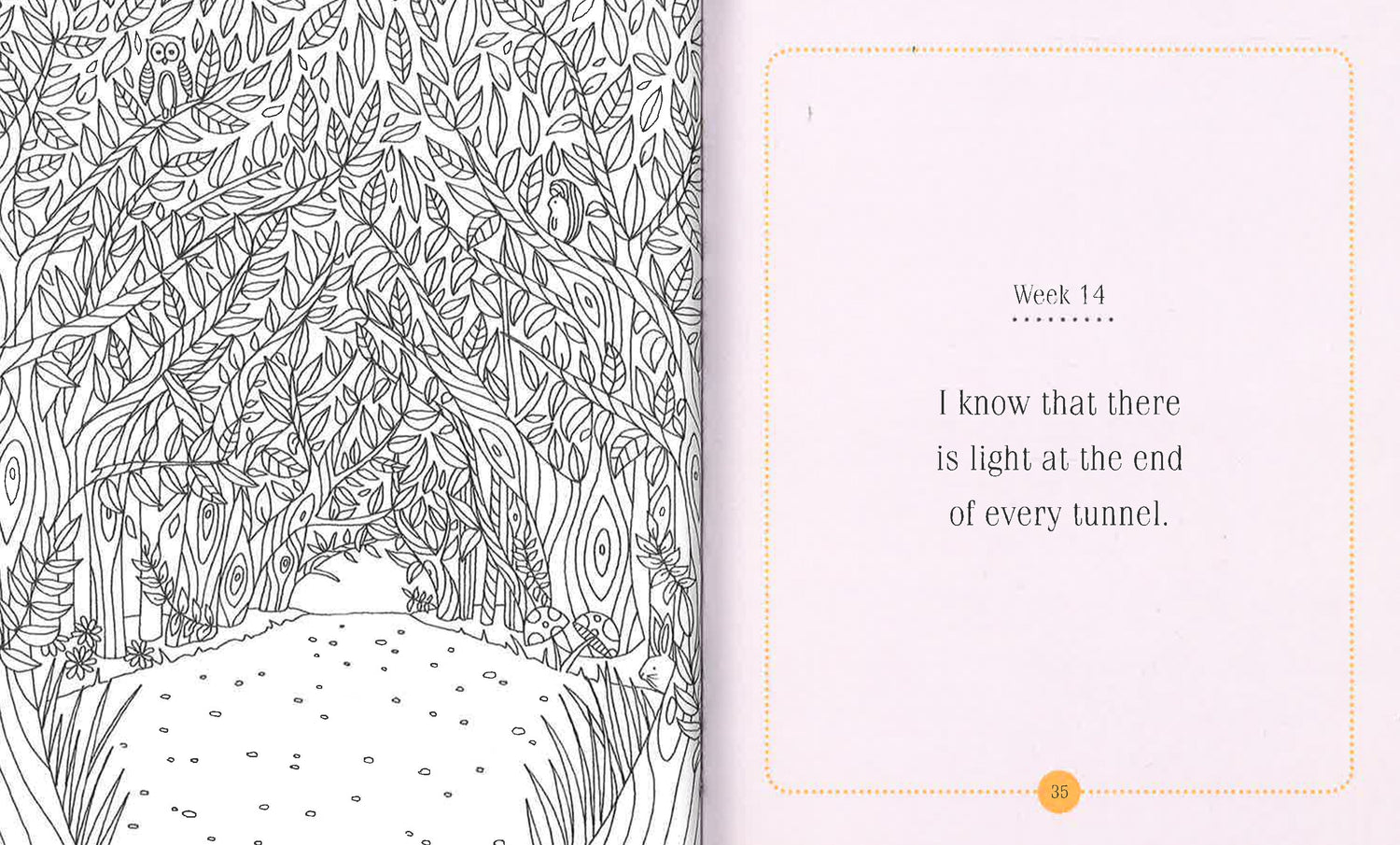 My Week Colour In Colour My Week - Happy – BookXcess