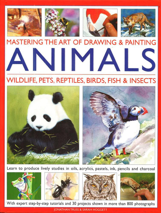 Mastering The Art Of Drawing & Painting Animals