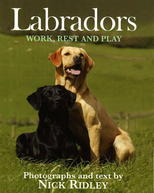 Labradors: Work, Rest And Play