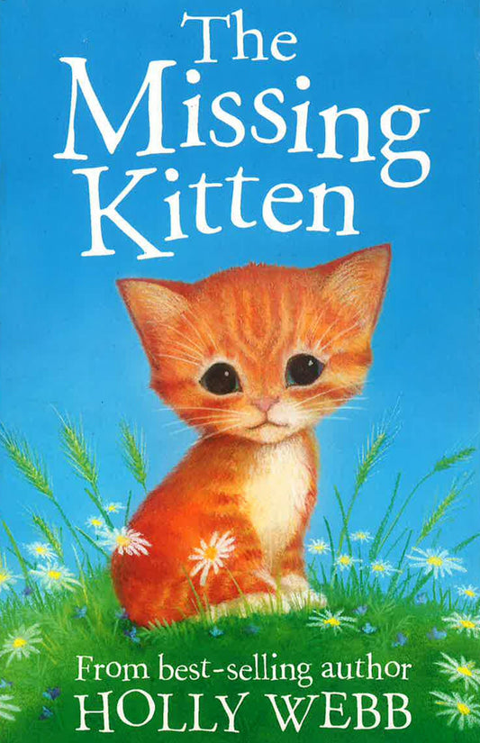 The Missing Kitten
