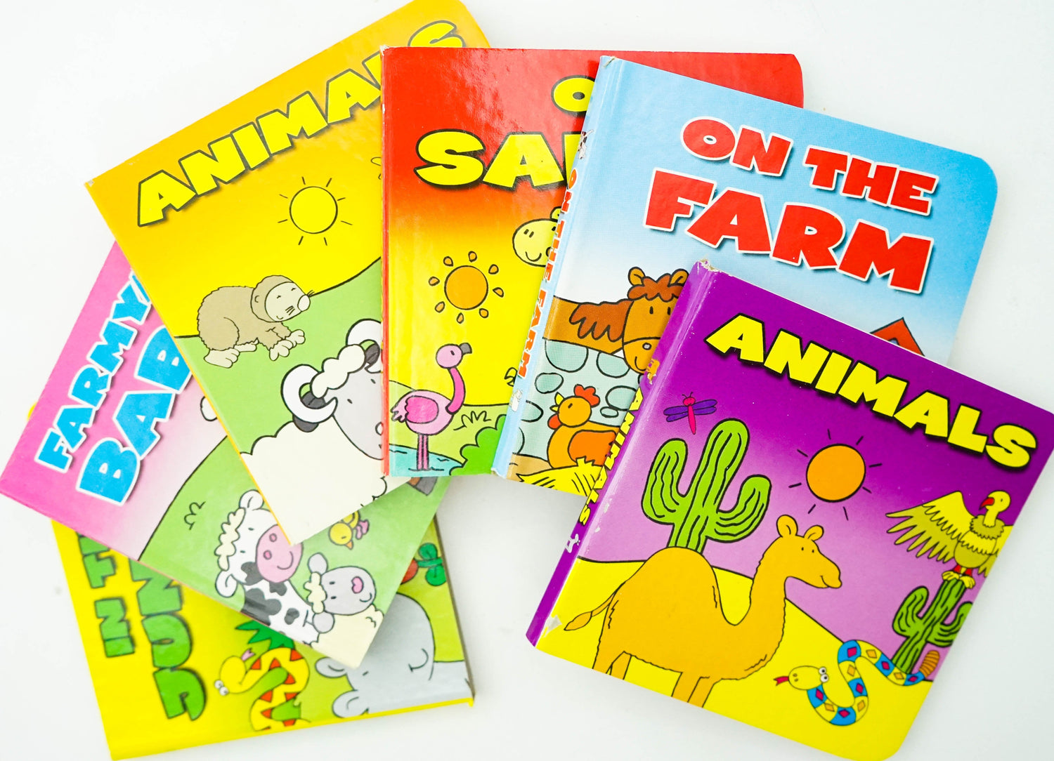 Library Animals Book Animals Mini Library – BookXcess