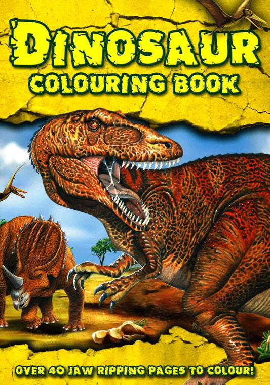 Dinosaur Colouring Book 9781847509772