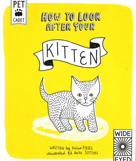 How To Look After Your Kitten